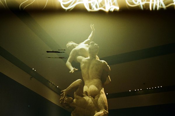 Créatures océaniques : les invisibles martyrs de la pollution marine