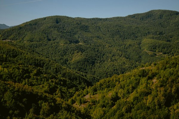 La collection citrouille de yayoi kusama : un festin visuel